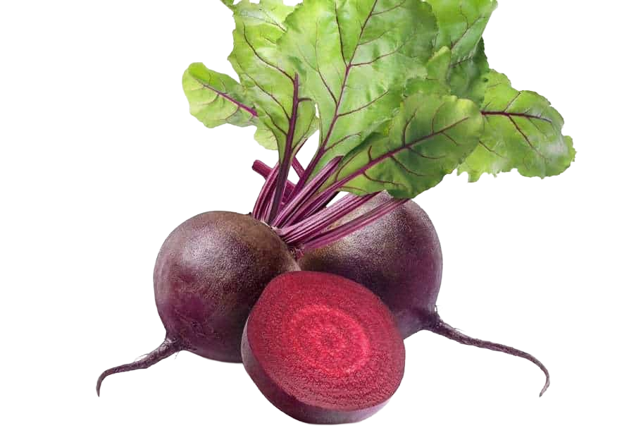 imagem_Beterraba